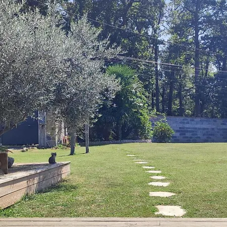 别墅 La O Bois - Billard & Baby-foot - Face A La Foret