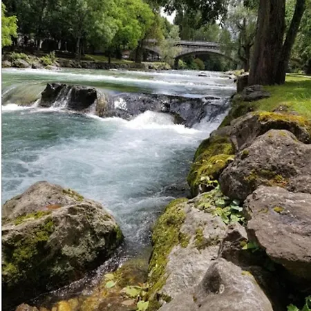 La O Bois - Billard & Baby-foot - Face A La Foret *