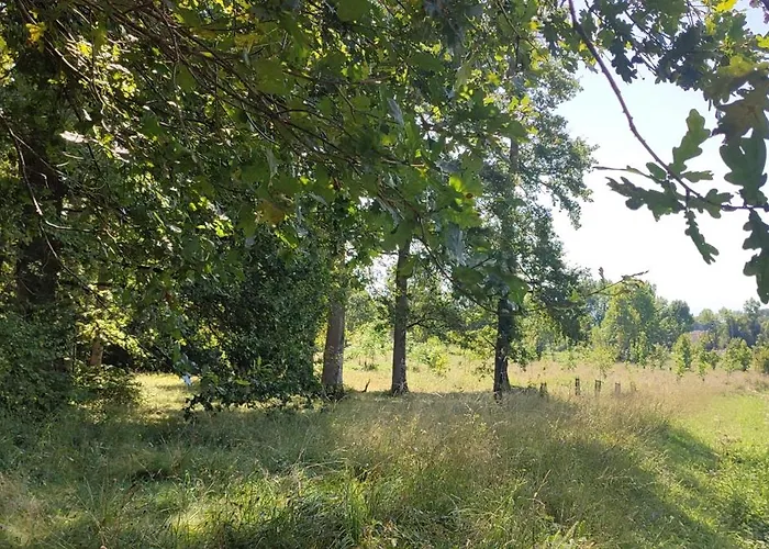 Villa La ô Bois - Billard&baby-foot - Face à La Forêt